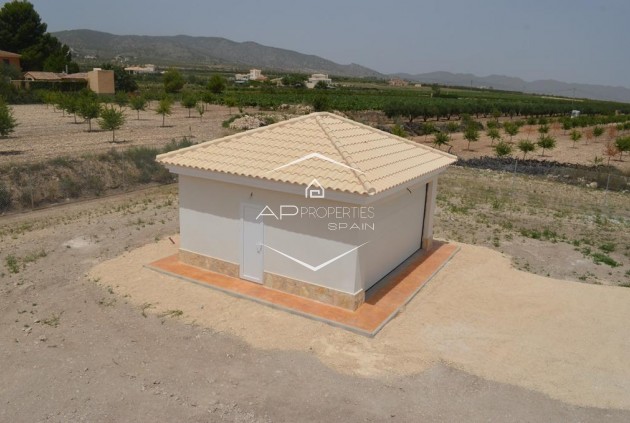 Nouvelle construction - Villa - Indépendante -
Pinoso - Camino Del Prado