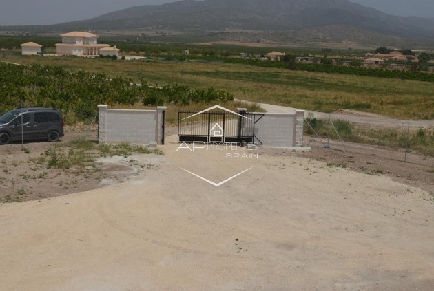 Nouvelle construction - Villa - Indépendante -
Pinoso - Camino Del Prado