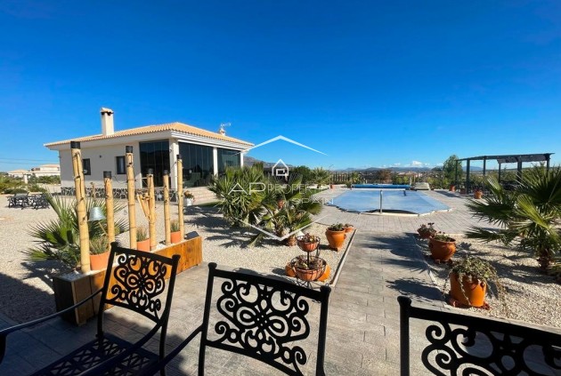 Nouvelle construction - Villa - Indépendante -
Pinoso - Camino Del Prado