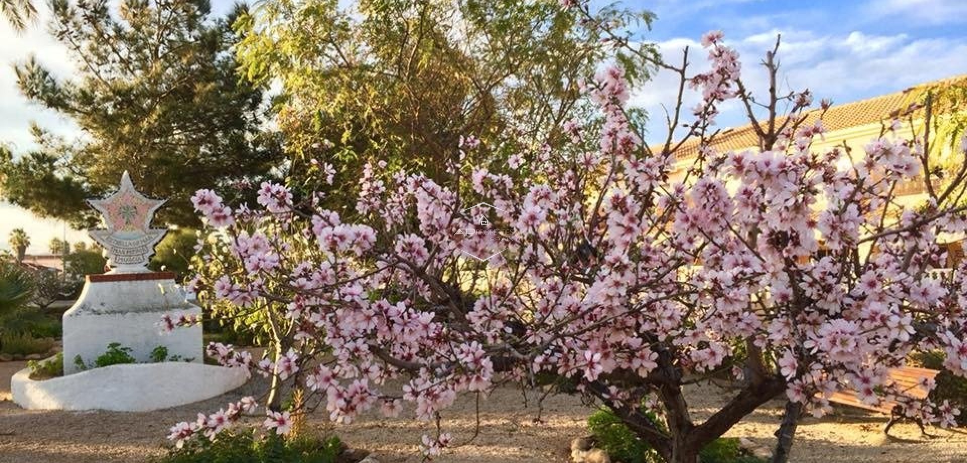 Nueva construcción  - Villa - Independiente -
Los Urrutias - Estrella De Mar
