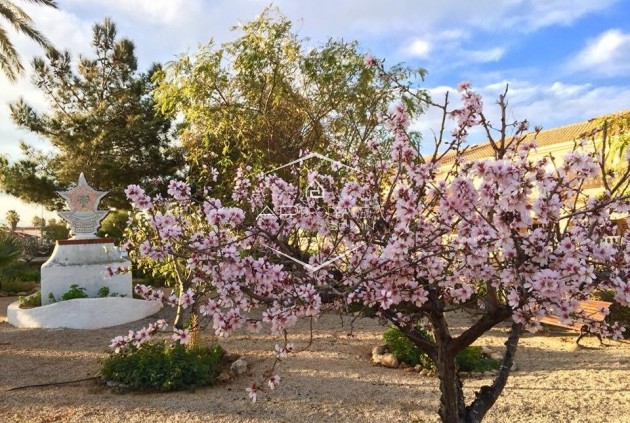 Nueva construcción  - Villa - Independiente -
Los Urrutias - Estrella De Mar