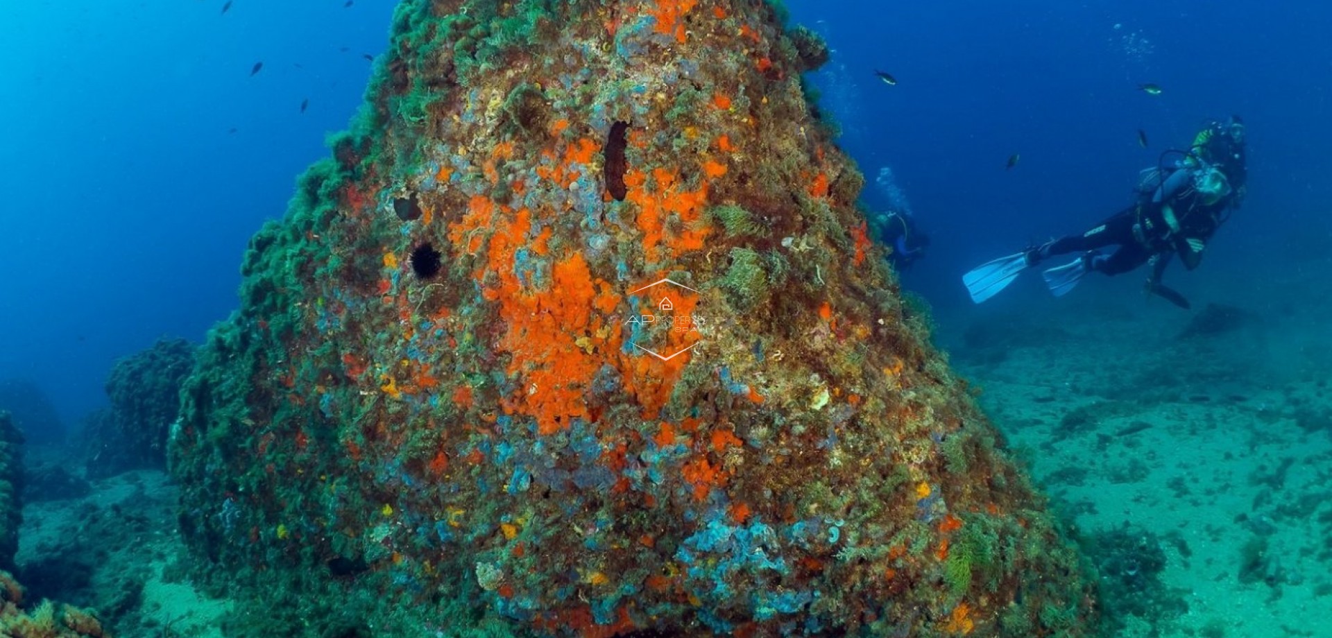 Nueva construcción  - Apartamento - piso -
Aguilas - Isla Del Fraile