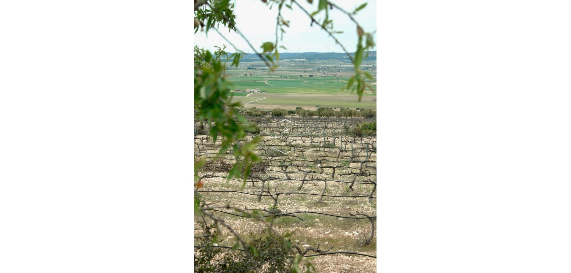 Nueva construcción  - Villa - Independiente -
Yecla