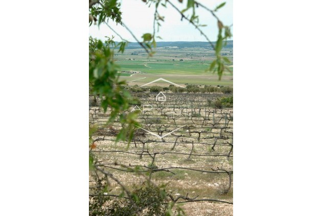 Nueva construcción  - Villa - Independiente -
Yecla