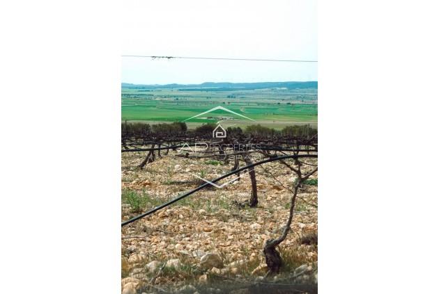 Nowy budynek - Willa - Dom wolnostojący -
Yecla