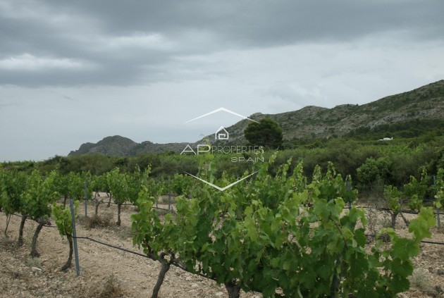 Nueva construcción  - Villa - Independiente -
Yecla