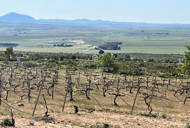 Nueva construcción  - Villa - Independiente -
Yecla