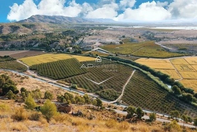 New Build - Villa - Detached -
Calasparra - Coto Riñales