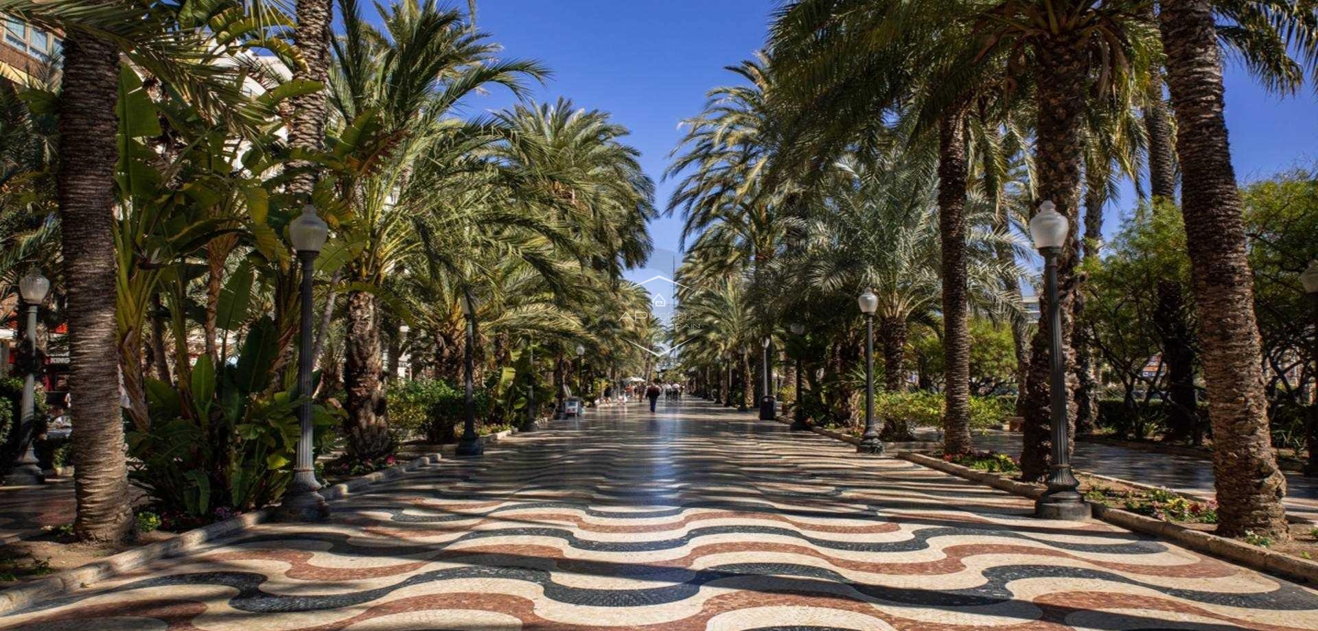 New Build - Apartment - Penthouse -
Alicante - Centro