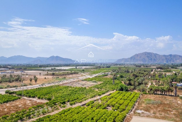 New Build - Apartment - flat -
Jacarilla - pueblo