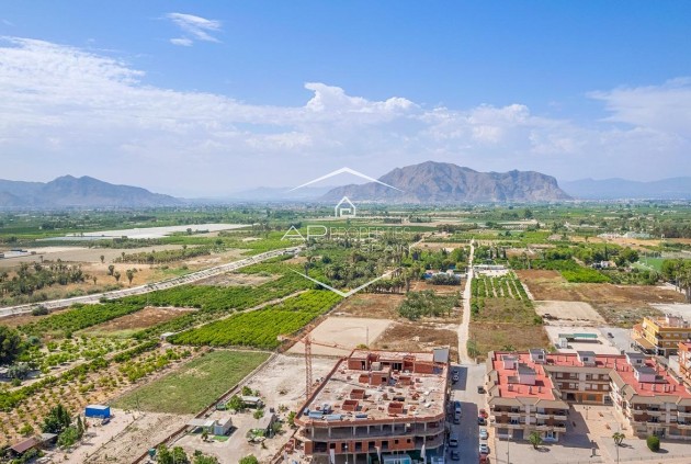 Nueva construcción  - Apartamento - Ático -
Jacarilla - pueblo