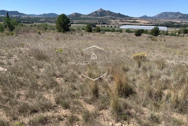 Revente - Parcelle - Terrain -
Sax