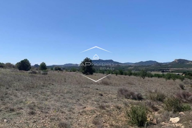 Revente - Parcelle - Terrain -
Sax