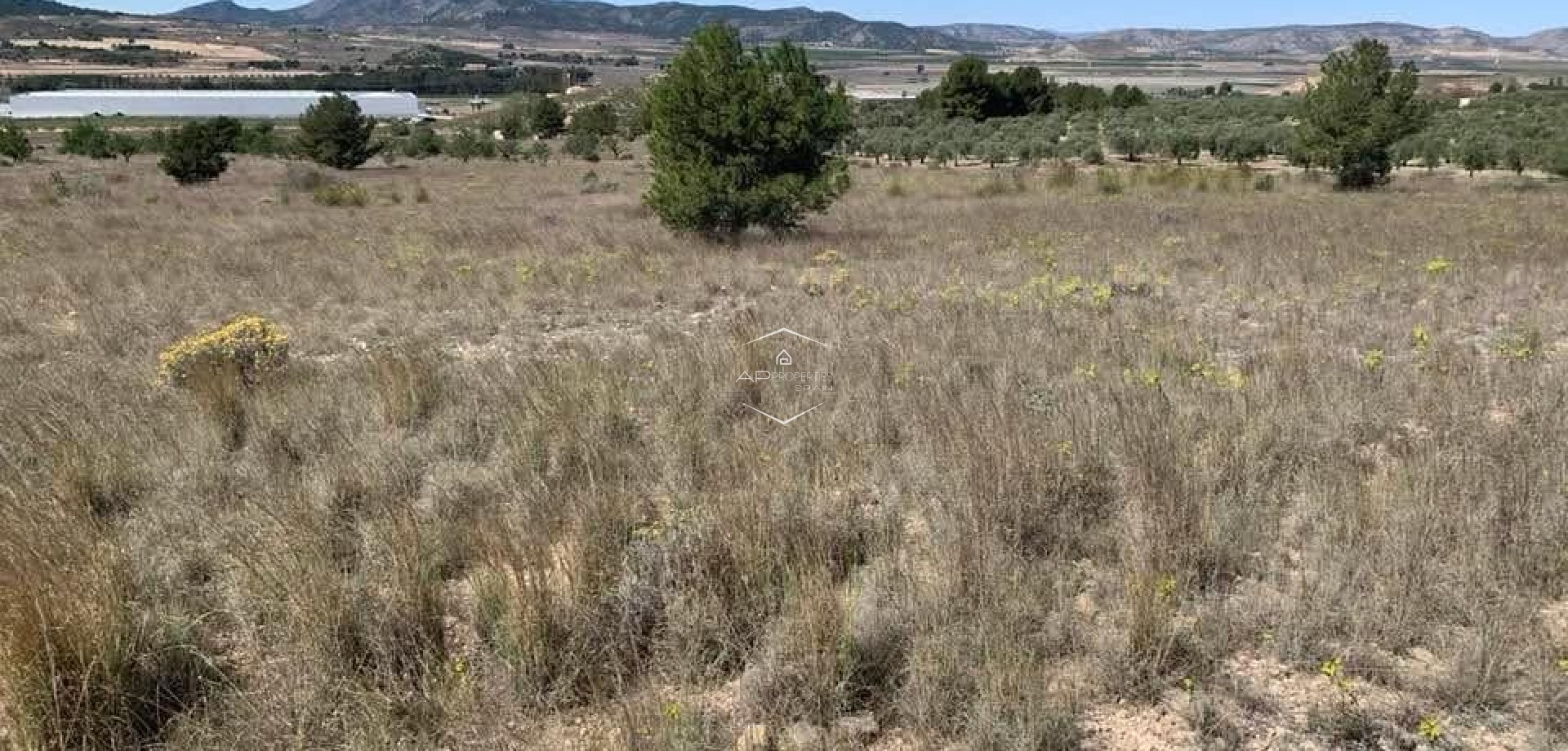 Revente - Parcelle - Terrain -
Sax