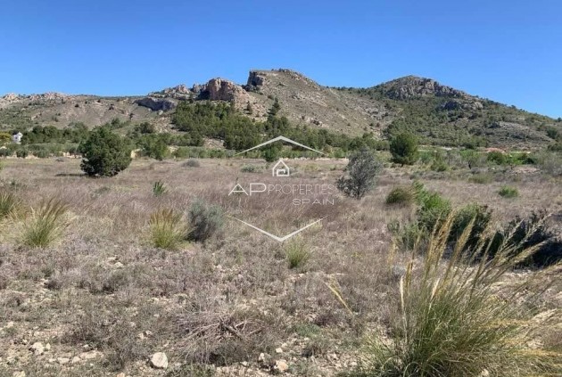 Revente - Parcelle - Terrain -
Sax