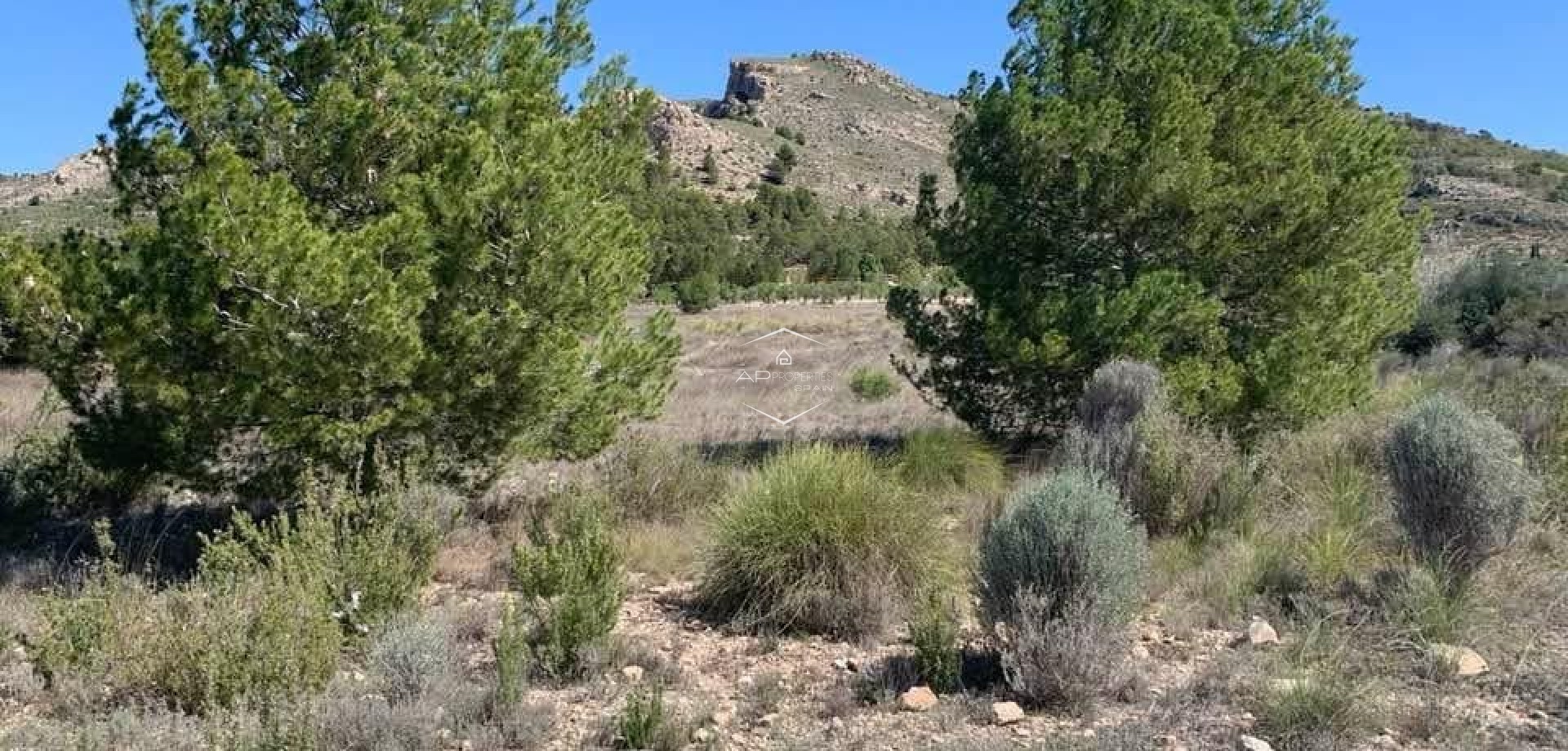 Revente - Parcelle - Terrain -
Sax