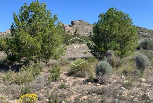 Revente - Parcelle - Terrain -
Sax