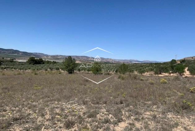 Revente - Parcelle - Terrain -
Sax