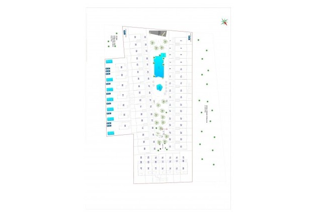 New Build - Apartment - flat -
Torrevieja - Punta Prima