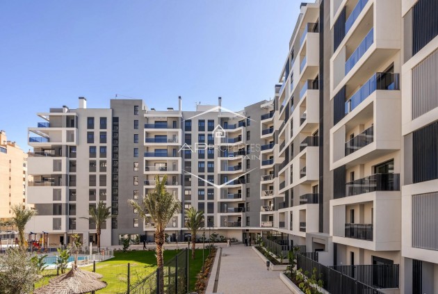 New Build - Apartment - flat -
Alicante - PAU 1