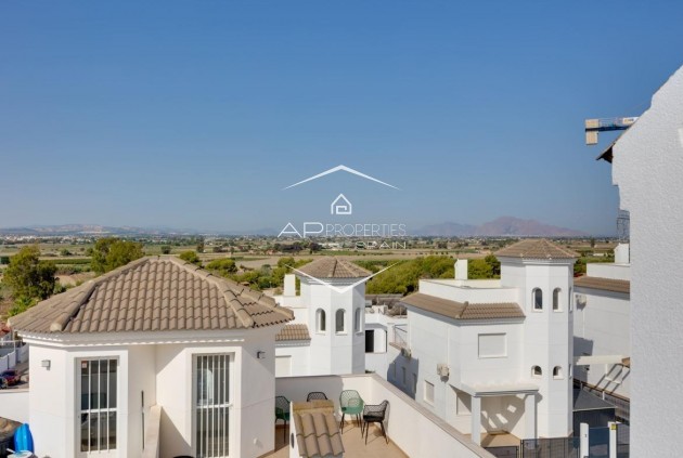 New Build - Villa - semi-detached -
San Fulgencio - El Oasis