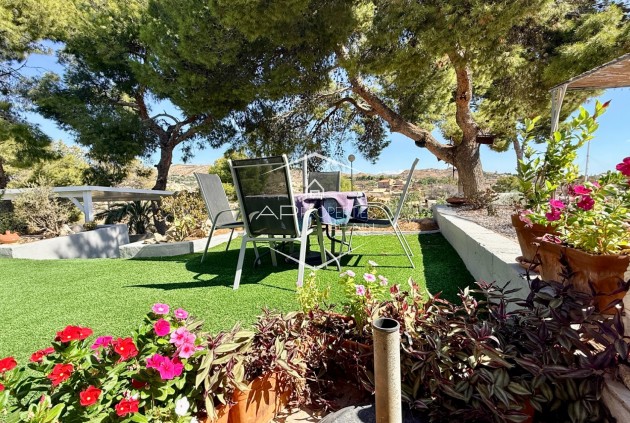 Resale - Villa - Detached -
Elche - Center