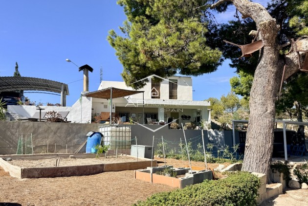 Resale - Villa - Detached -
Elche - Center