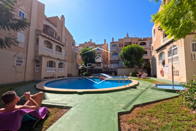 Odsprzedaż - Mieszkanie - Apartament -
Torrevieja - torrevieja