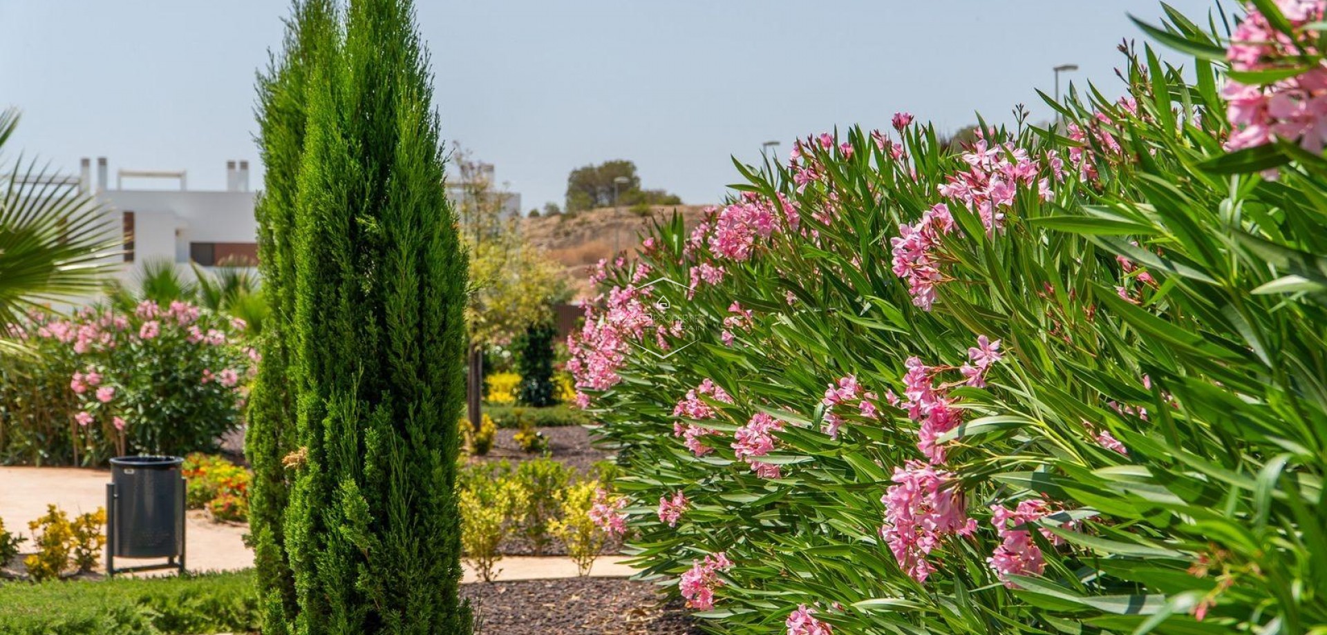 Nowy budynek - Bungalow -
Orihuela - Vistabella Golf