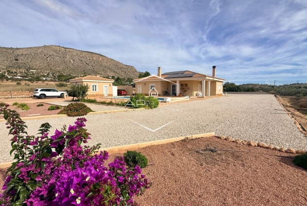 Reventa - Villa - Independiente -
Hondón de las Nieves