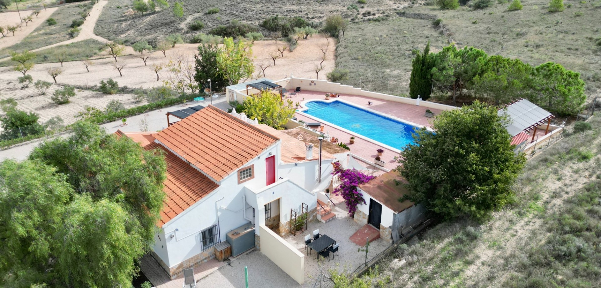 Reventa - Villa - Independiente -
Hondón de los Fráiles