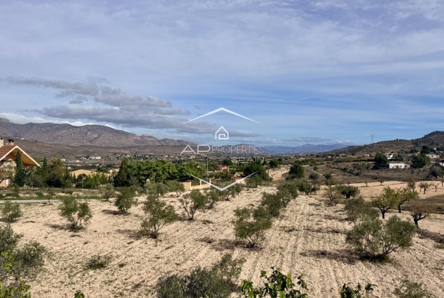 Reventa - Villa - Independiente -
Hondón de los Fráiles