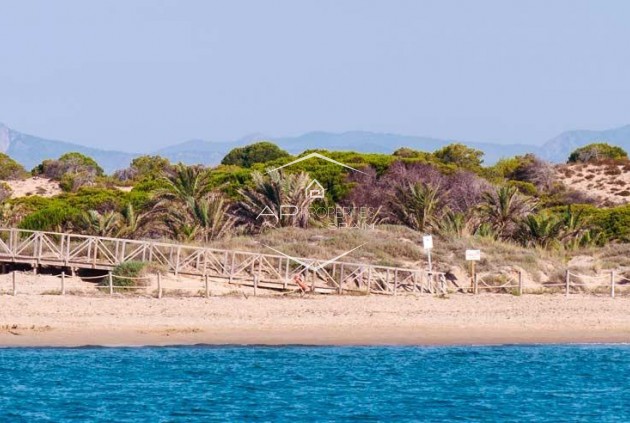 New Build - Apartment - flat -
Guardamar del Segura - Pueblo