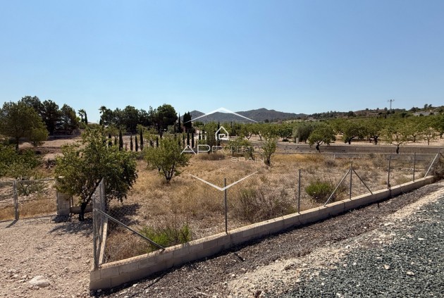 Resale - Villa - Detached -
Hondón de los Fráiles