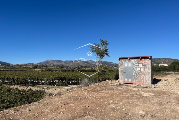 Revente - Parcelle - Terrain -
La Romana