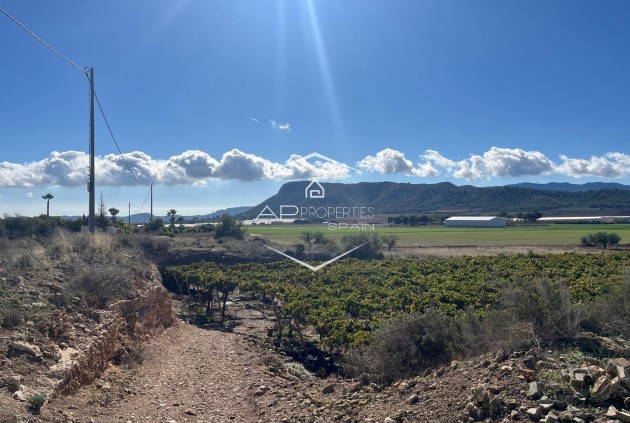 Revente - Parcelle - Terrain -
La Romana