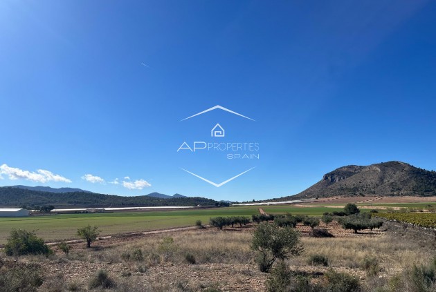 Revente - Parcelle - Terrain -
La Romana