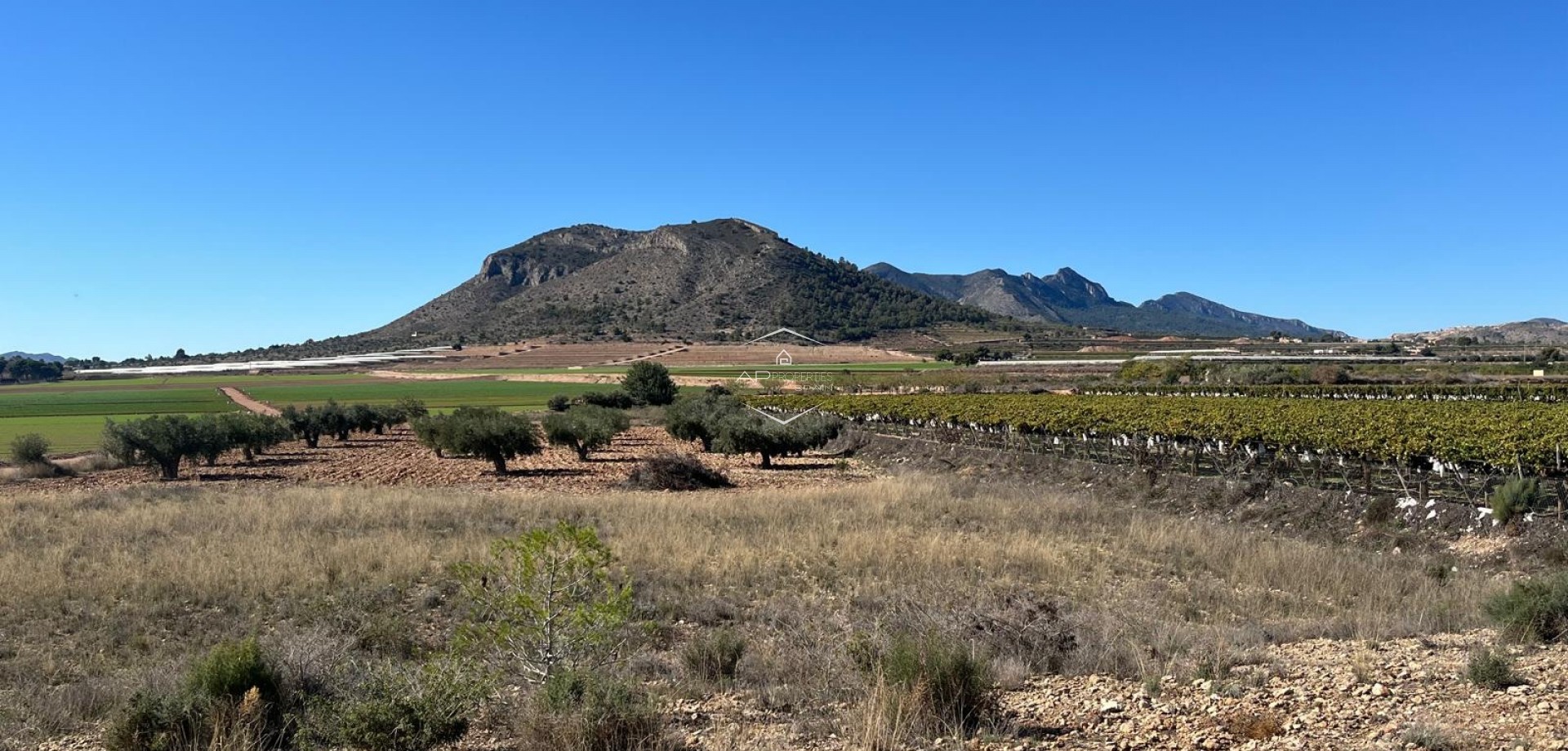 Revente - Parcelle - Terrain -
La Romana
