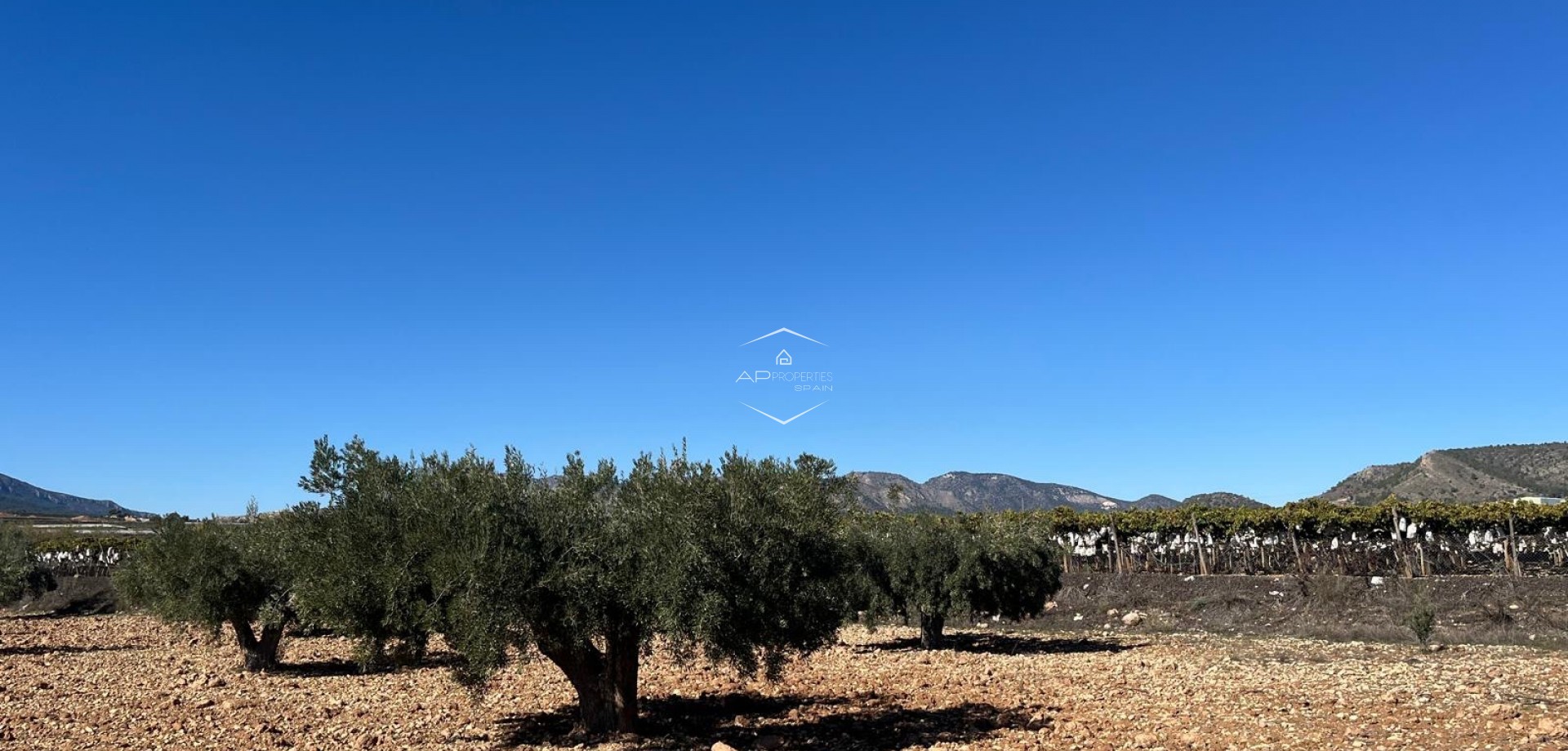 Revente - Parcelle - Terrain -
La Romana