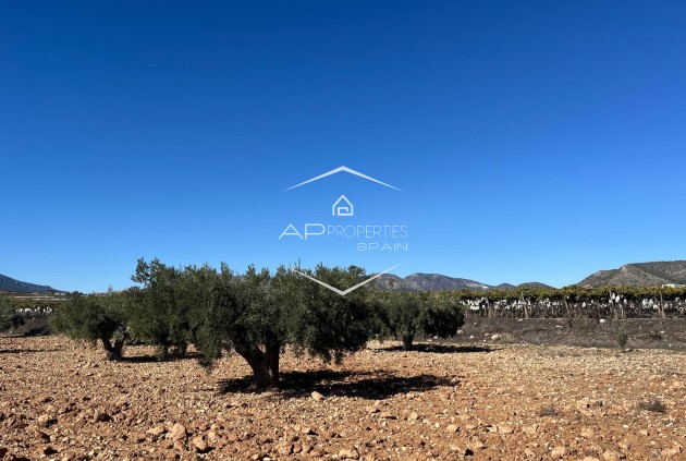 Revente - Parcelle - Terrain -
La Romana