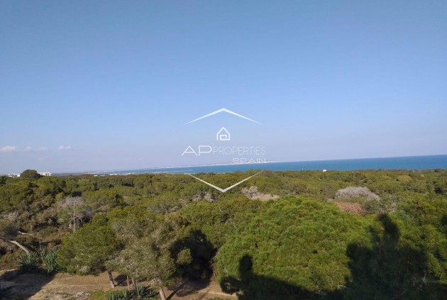 Nouvelle construction - Appartement -
Guardamar del Segura - Pueblo