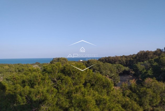 Nouvelle construction - Appartement -
Guardamar del Segura - Pueblo