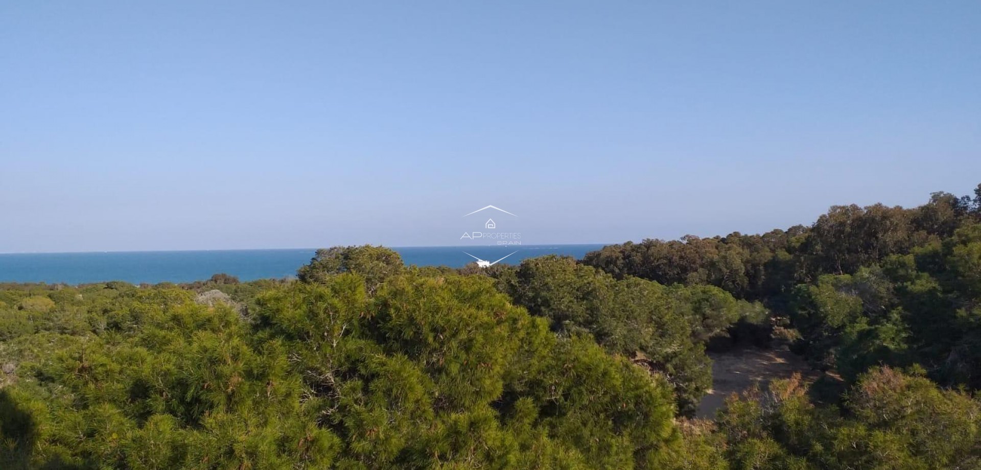 Nouvelle construction - Appartement -
Guardamar del Segura - Pueblo