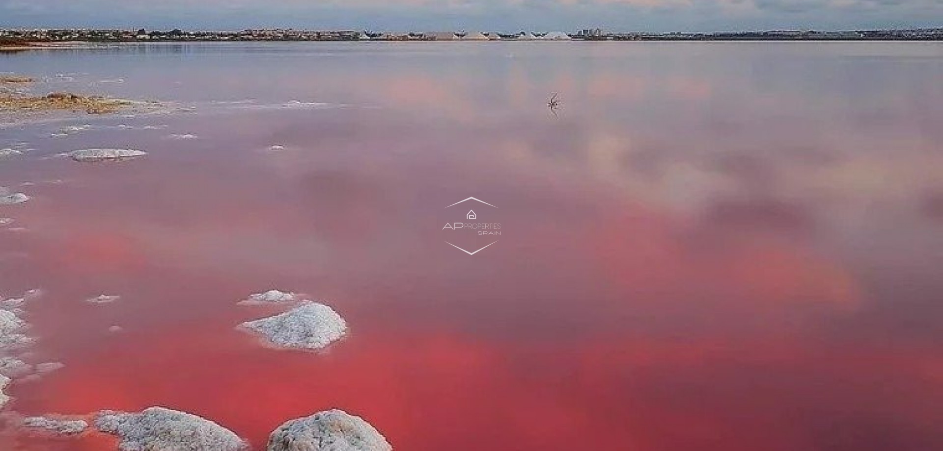 New Build - Bungalow -
Torrevieja - Lago Jardín II