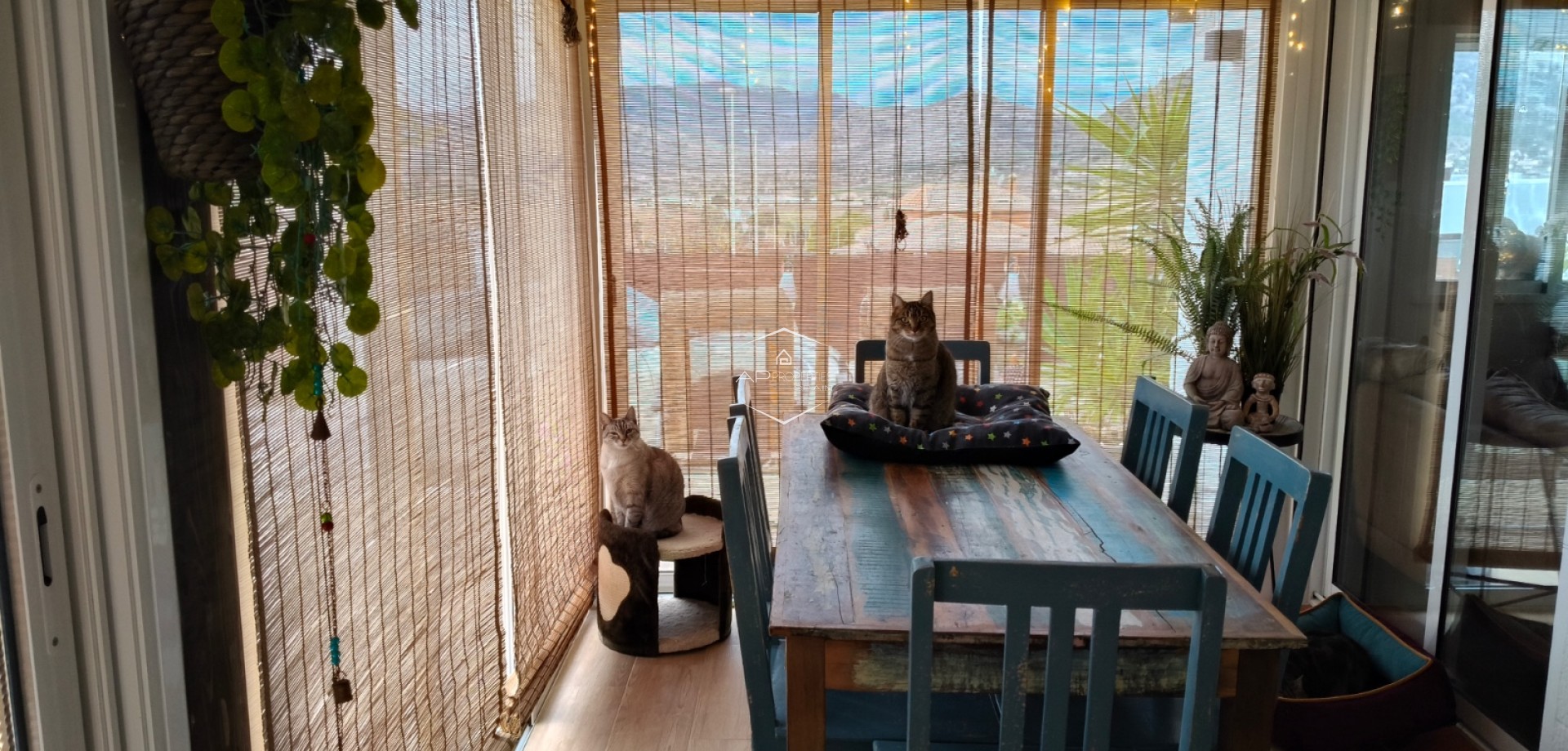 Odsprzedaż - Willa - Dom wolnostojący -
Aspe